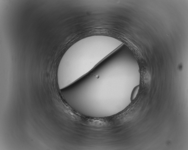 X0000097960475200803241046