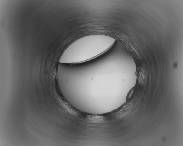 X0000097960476200803241046