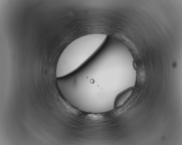 X0000097960477200803241046