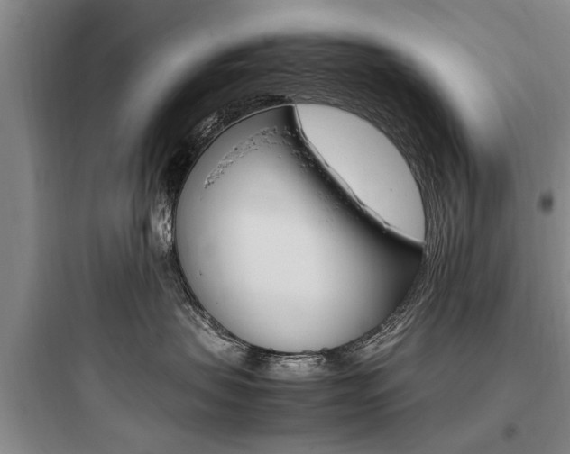 X0000097960479200803241046