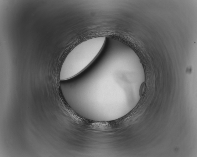 X0000097960480200803241046