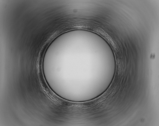 X0000097960482200803241045