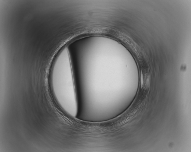 X0000097960483200803241045
