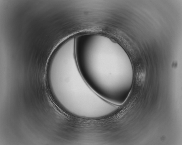 X0000097960484200803241045