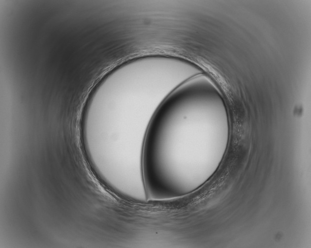 X0000097960485200803241045