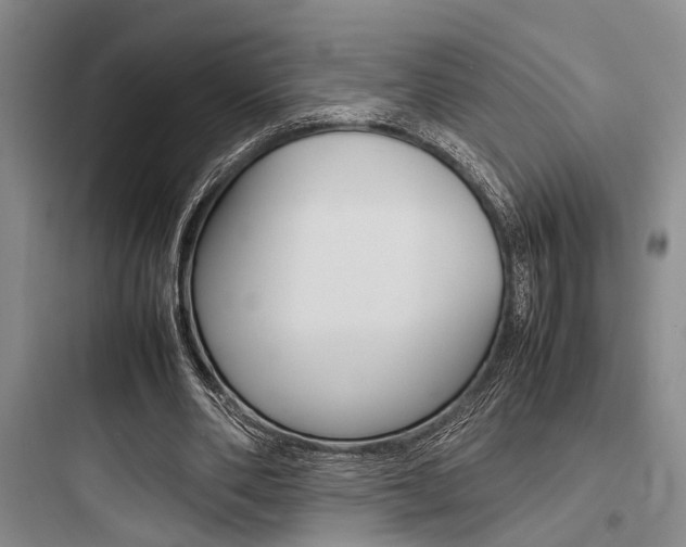 X0000097960486200803241045