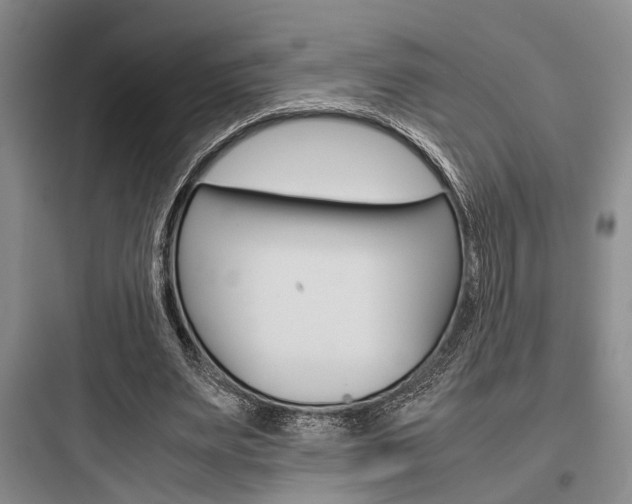 X0000097960487200803241045