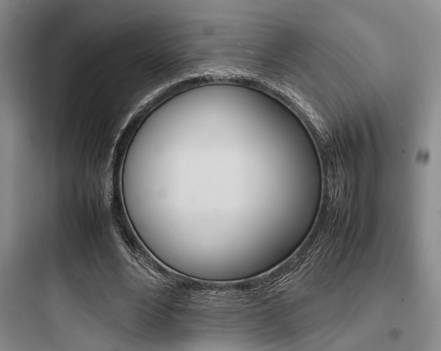 X0000097960488200803241045