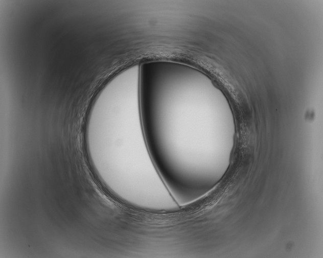 X0000097960489200803241045