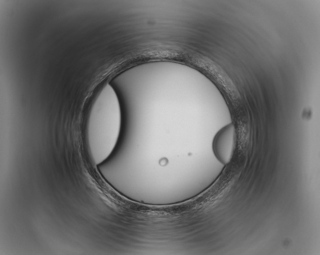 X0000097960490200803241045