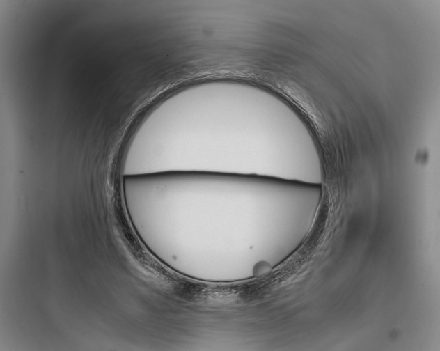 X0000097960491200803241045