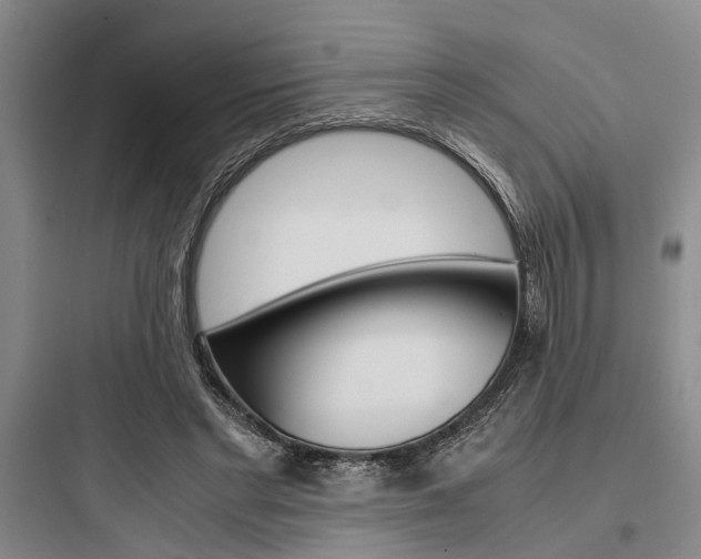 X0000097960493200803241045