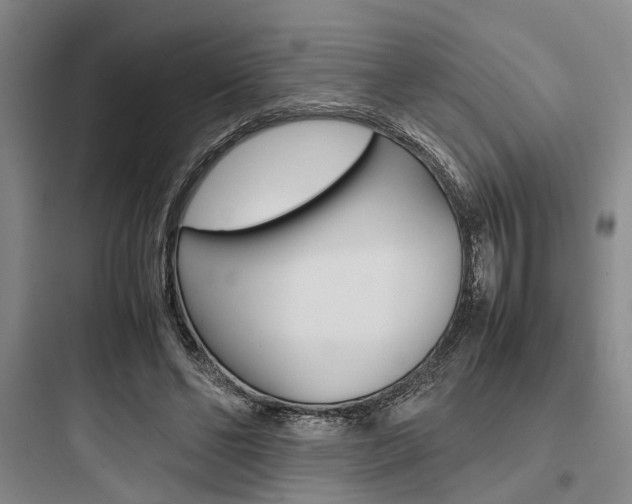 X0000097960494200803241045