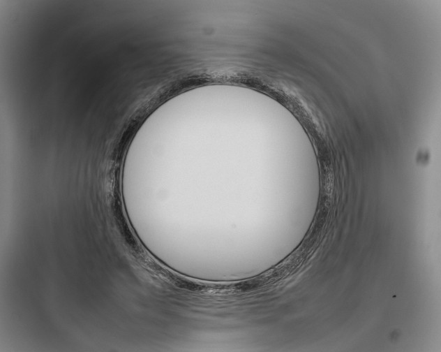 X0000097960495200803241045