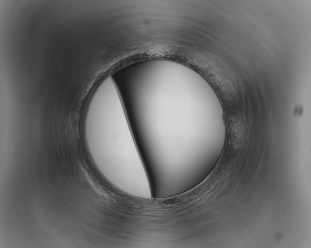 X0000097960496200803241045