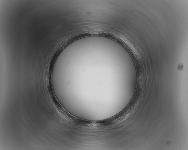 X0000097960497200803241045