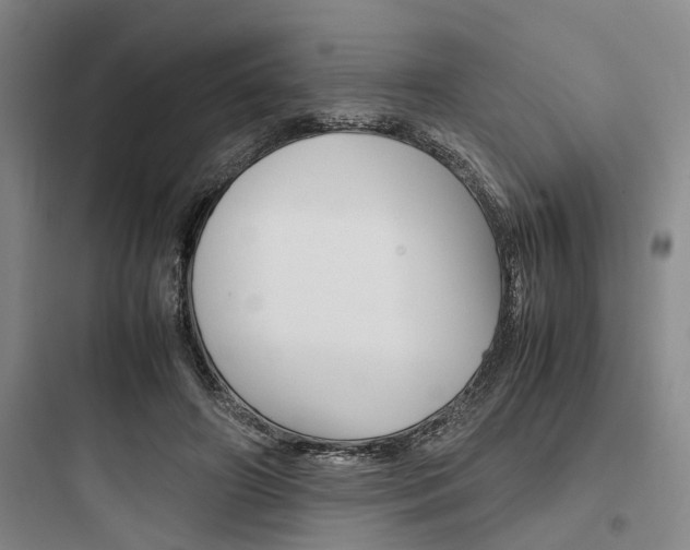 X0000097960498200803241045