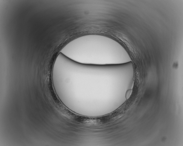 X0000097960499200803241045