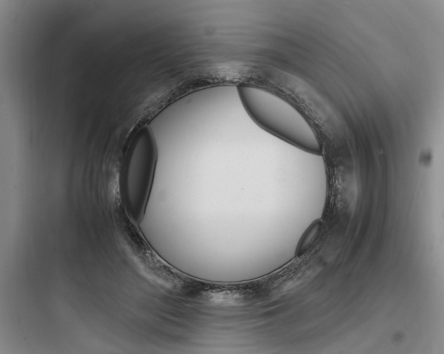 X0000097960500200803241045