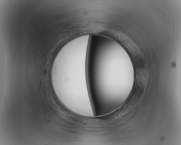 X0000097960501200803241045