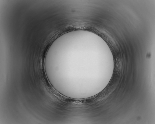 X0000097960502200803241045