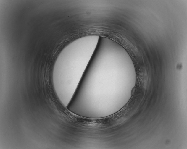 X0000097960504200803241045