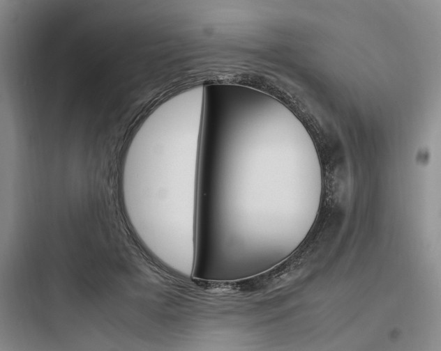 X0000097960505200803241045