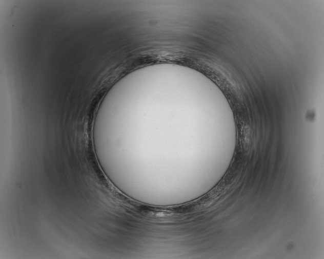 X0000097960506200803241045
