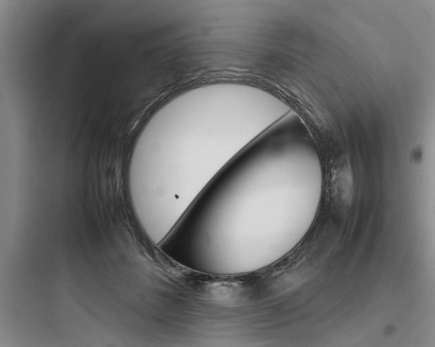 X0000097960508200803241045