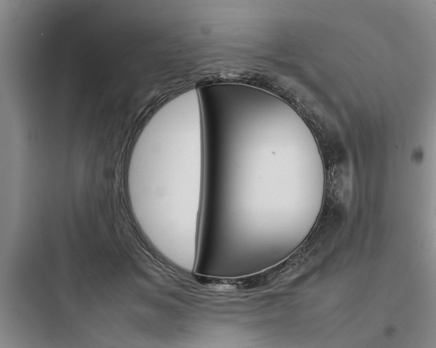 X0000097960509200803241045