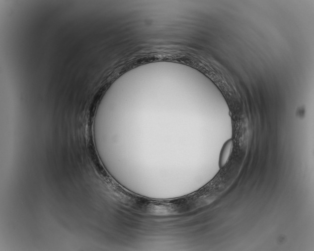 X0000097960510200803241045