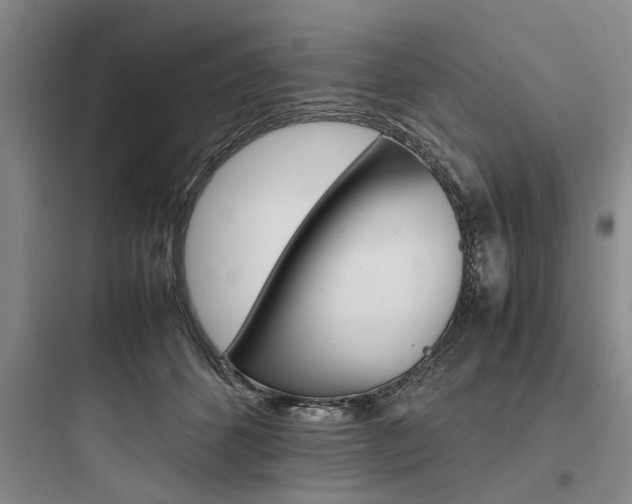 X0000097960512200803241045
