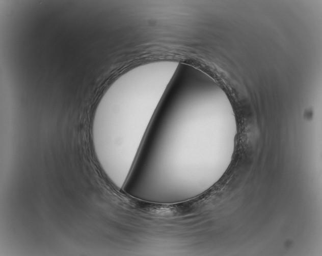 X0000097960513200803241045