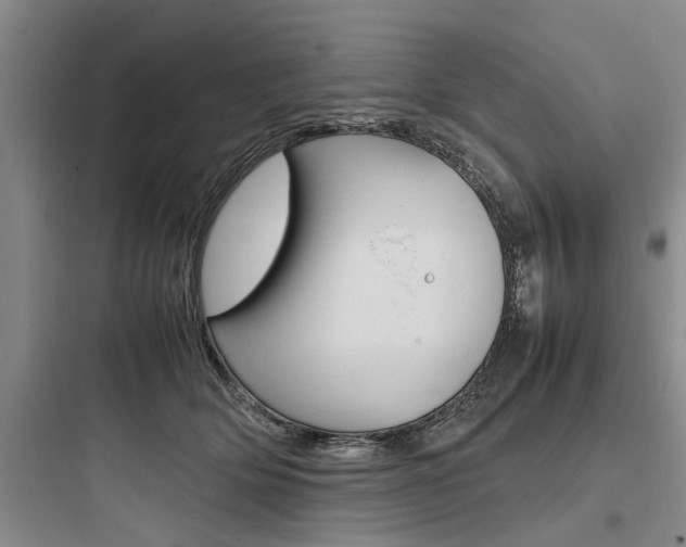 X0000097960514200803241045