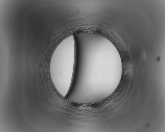 X0000097960515200803241045