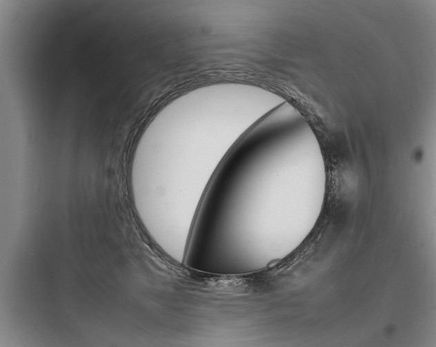 X0000097960517200803241045