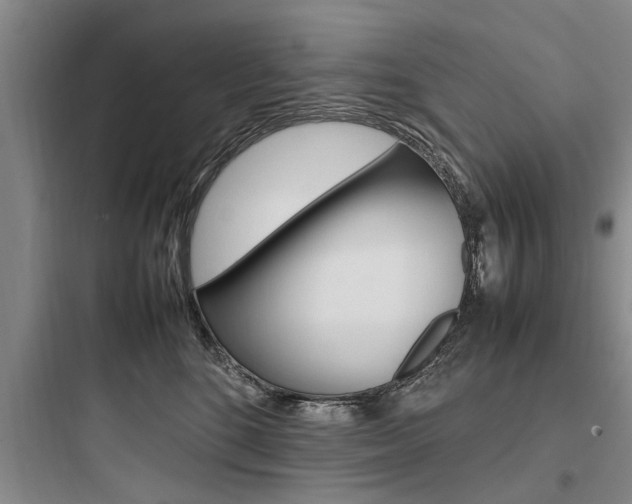 X0000097960520200803241045