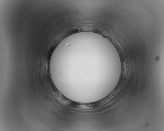 X0000097960522200803241045