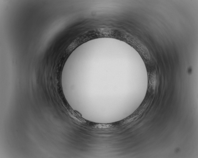X0000097960526200803241044