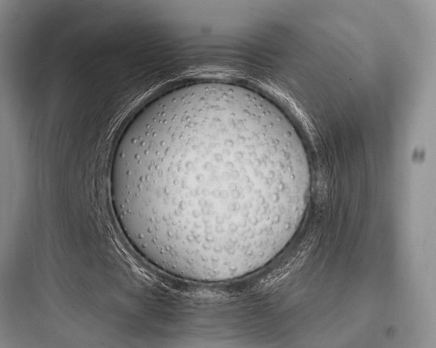 X0000097960529200803241044
