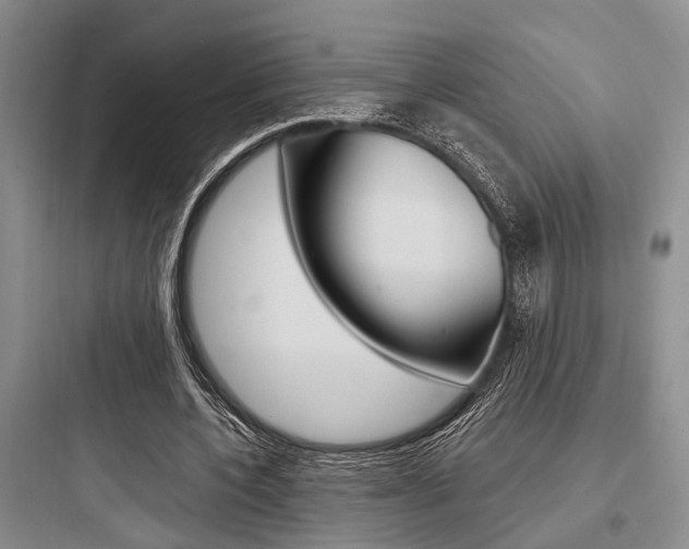 X0000097960532200803241044
