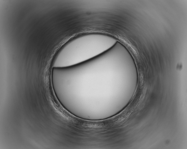 X0000097960533200803241044