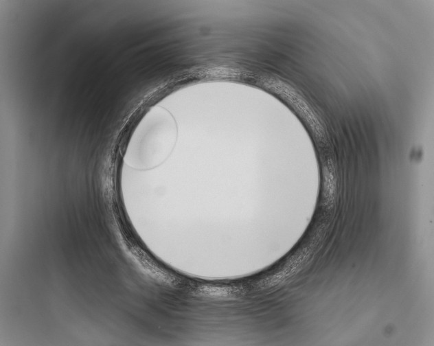 X0000097960534200803241044