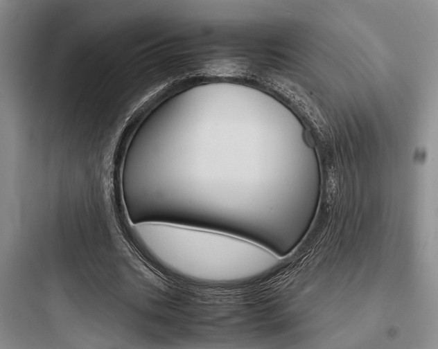 X0000097960535200803241044