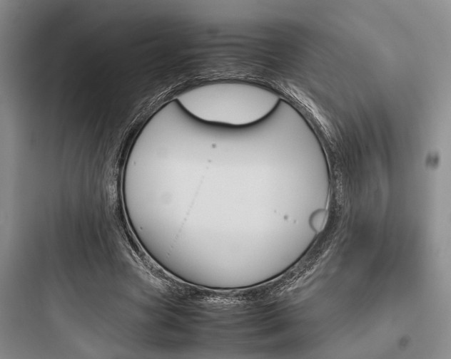 X0000097960537200803241044