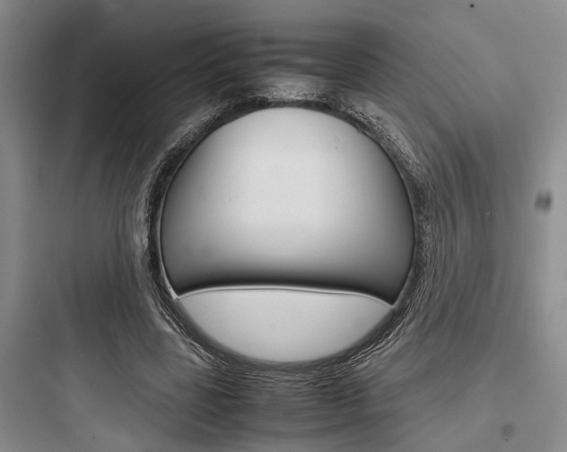 X0000097960539200803241044
