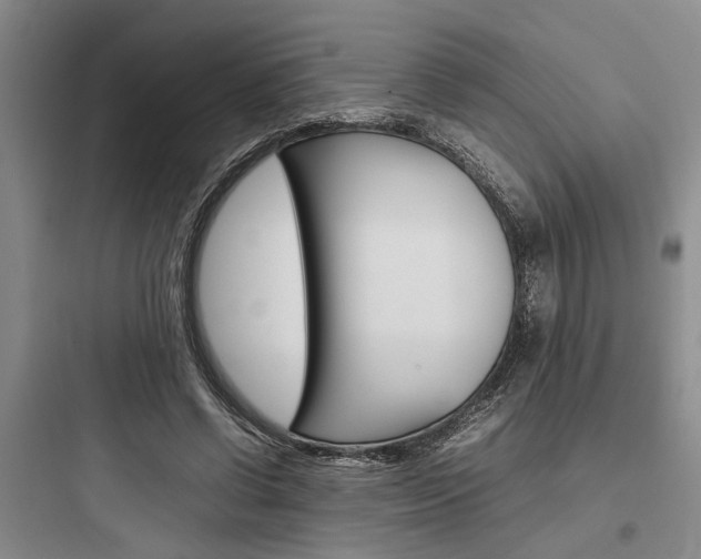 X0000097960542200803241044