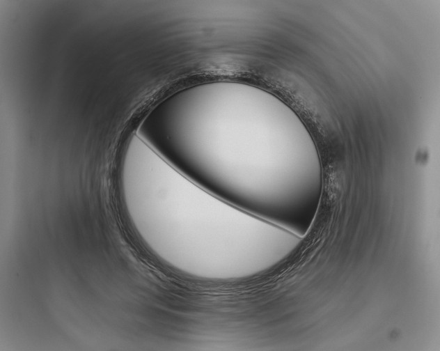 X0000097960544200803241044