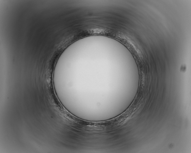 X0000097960545200803241044