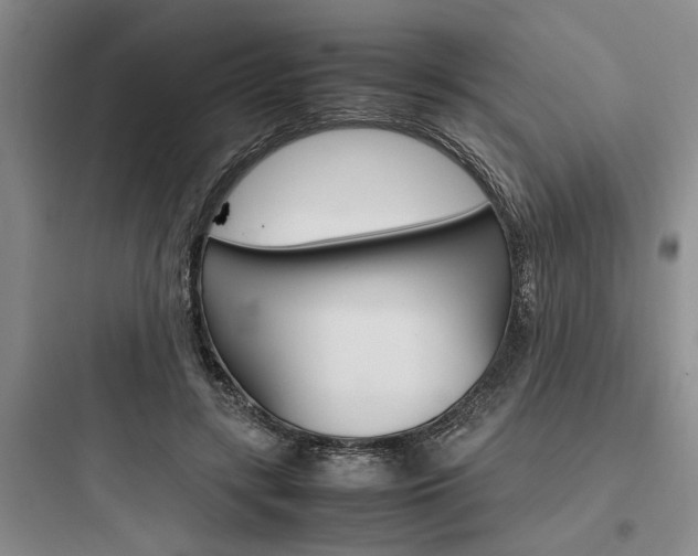 X0000097960547200803241044